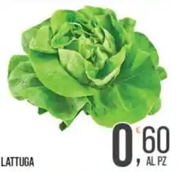 Cash pro Lattuga offerta