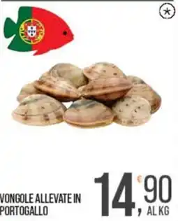 Cash pro Vongole allevate in Portogallo offerta