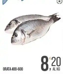 Cash pro Orata offerta