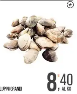 Cash pro Lupini grandi offerta