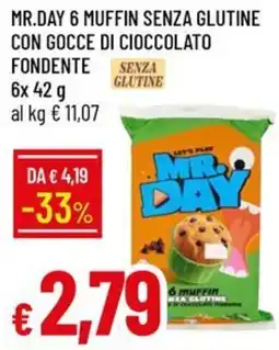 IperFamila Mr. Day 6 muffin senza glutine con gocce di cioccolato fondente offerta