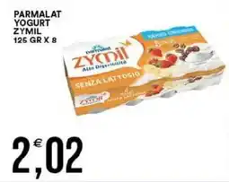 Vantaggio Cash&Carry Yogurt Zymil Zydil senza lattosio offerta