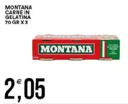 Vantaggio Cash&Carry Carne in gelatina Montana offerta