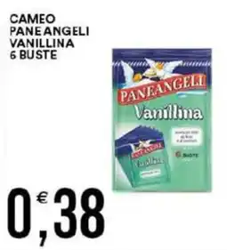 Vantaggio Cash&Carry Cameo Paneangeli Vanillina offerta