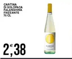 Vantaggio Cash&Carry Cantina di Solopaca Falanghina Frizzante offerta