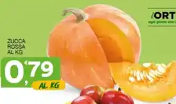 Sisa Zucca rossa offerta