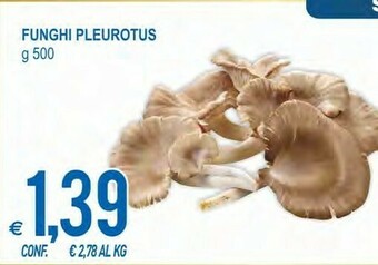 MD Discount Funghi pleurotus offerta