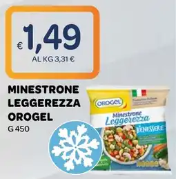 Ekom Minestrone leggerezza Orogel offerta