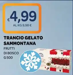 Ekom Trancio gelato Sammontana frutti di bosco offerta