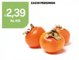 Ekom Cachi persimon offerta