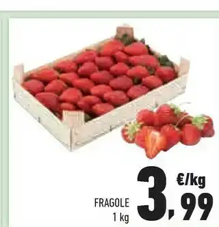 Conad City Fragole 1 kg offerta