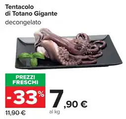 Carrefour Tentacolo di Totano Gigante decongelato offerta