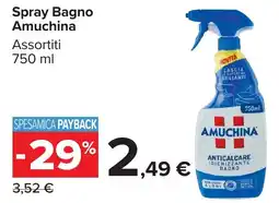 Carrefour Market Spray Bagno Amuchina offerta