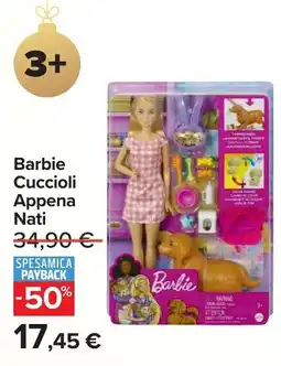 Carrefour Barbie Cuccioli Appena Nati offerta