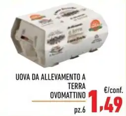 Maxi Supermercati Uova da allevamento a terra ovomattino offerta