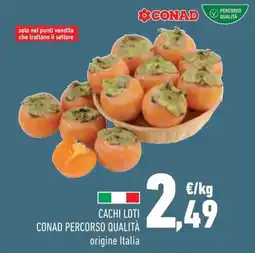 Conad Margherita Cachi loti CONAD Percorso Qualità offerta