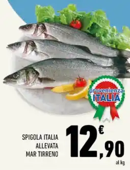Conad Tuday Spigola Italia offerta