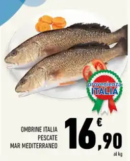 Conad Tuday Ombrine Italia offerta