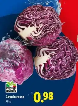 Lidl Cavolo rosso offerta