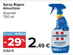 Carrefour Spray Bagno Amuchina offerta