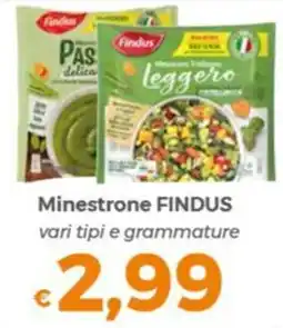 Tocal Minestrone FINDUS offerta