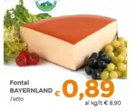Tocal Fontal Bayernland offerta