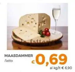 Tocal Maasdammer offerta