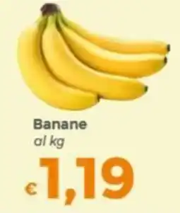 Tocal Banane offerta