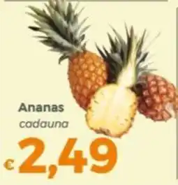 Tocal Ananas offerta