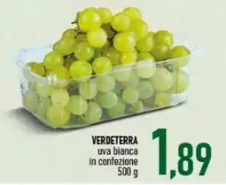 Ciro Amodio Verdeterra uva bianca offerta