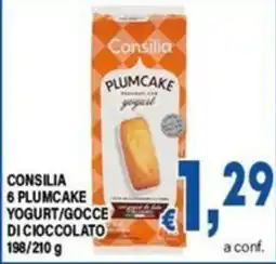 DEM Consilia Plumcake yogurt offerta