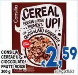 DEM Consilia Cereal Up Cioccolato/Frutti Rossi offerta
