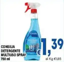 DEM Consilia Detergente Multiuso Spray offerta