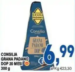 DEM Consilia Grana Padano DOP offerta