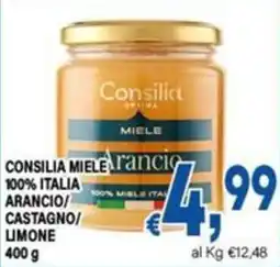 DEM Consilia miele arancio offerta