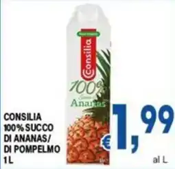 DEM Consilia 100% Succo di Ananas offerta