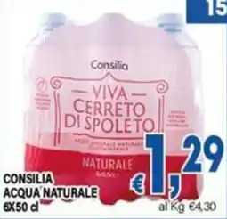 DEM Consilia acqua naturale offerta