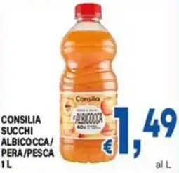 DEM Consilia succhi albicocca offerta