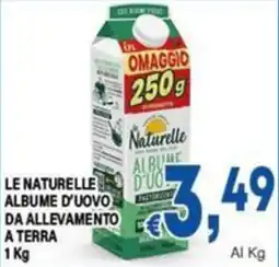DEM Album d'uovo da allevamento a terra offerta