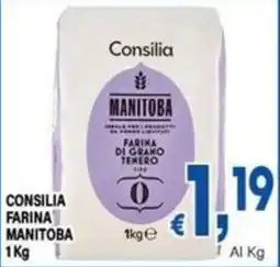DEM Consilia farina Manitoba offerta