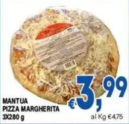 DEM Mantua pizza margherita offerta