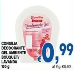 DEM Consilia deodorante gel ambiente bouquet/lavanda offerta
