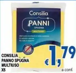 DEM Consilia panno spugna multiuso offerta