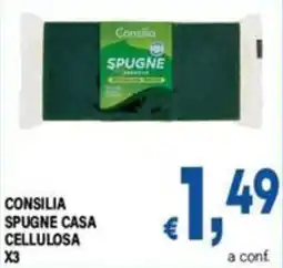 DEM Consilia spugne casa cellulosa offerta