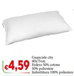 D'Italy Guanciale city offerta