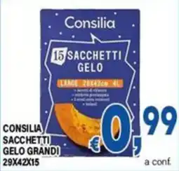 DEM Consilia sacchetti gelo grandi offerta
