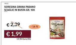 Prezzemolo e Vitale Soresina grana padano scaglie offerta