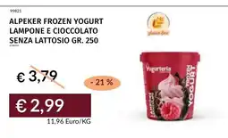 Prezzemolo e Vitale Alpeker frozen yogurt lampone e cioccolato senza lattosio offerta