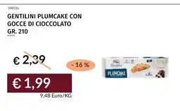 Prezzemolo e Vitale Gentilini plumcake con gocce di cioccolato offerta