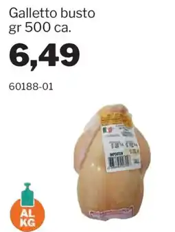 GrosMarket Galletto busto offerta